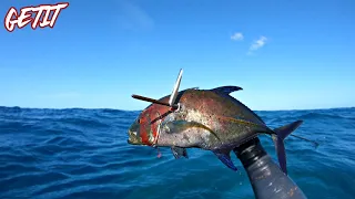 Spearfishing in Hawaii by Myself / Solo Mission / Papio Catch N Cook