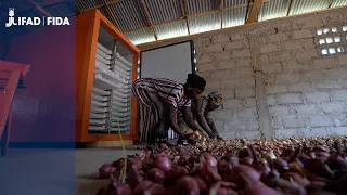 Sierra Leone- Onion farmers ring changes
