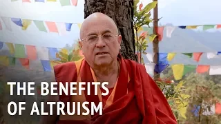 The Benefits of Altruism | Matthieu Ricard