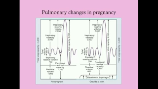 Basic Physiology of Pregnancy - CRASH! Medical Review Series