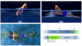 Freestyle crawl rythm visualization