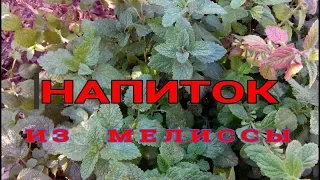 🌹👌ЛЕЧЕБНЫЙ НАПИТОК ИЗ МЕЛИССЫ