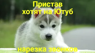 Пристав хотят на Ютуб!!!Толян