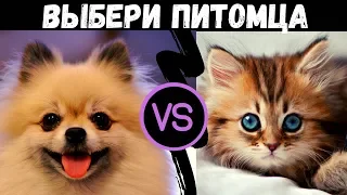 КОТ ИЛИ СОБАКА??? Твой характер зависит от того, кого ты выбираешь! ТЕСТ!