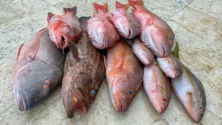 DEEP SEA Snapper & Grouper! Catch Clean Cook- Fish and Chips! (FLORIDA Keys)