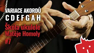 Ukulele akordy: C, D, E, F, G, A, H - Škola ukulele Matěje Homoly #7