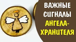 Как ангел хранитель предупреждает об опасности