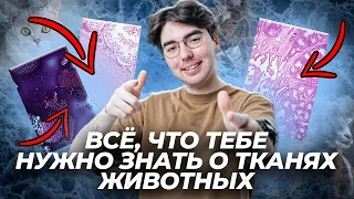 Всё о тканях животных для ОГЭ | Без этой теории ты не сдашь экзамен!