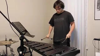 World's FASTEST Xylophone SOLO!