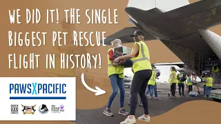 PawsXPacific | The Largest Pet Rescue Flight Ever