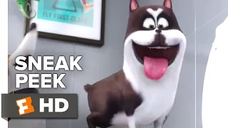 The Secret Life of Pets Official Sneak Peek #1 (2016) - Kevin Hart, Lake Bell Animated Movie HD