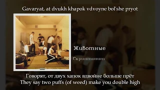 Скриптонит - Животные, English subtitles+Russian lyrics+Transliteration
