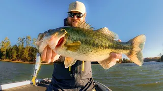 Fall Fishing For Bass Is Easy!! (Here's How We Do It)