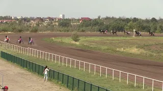 2-й заезд. Мемориал маршала К.К.Рокоссовского Жер. орл. ст. возр.. 28.08.2022. Воронежский ипподром