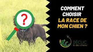 Comment trouver la meilleure race pour vous?