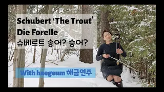 Die Forelle "The Trout" I Schubert I 슈베르트 '송어' "숭어' #해금클래식, 케이피들, 해금연주자서소선, kfiddle, haegeum, 해금연주