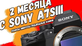 SONY A7Siii ВЫВОДЫ (Стрим по камере+ вопросы и настройки)