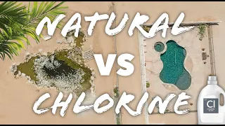 Natural Pools *BEFORE AND AFTER* Biological Filtration Swim Ponds VS Chlorine Pools