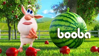 Booba ⭐ New 🍉 Watermelon 😉 All episodes collection 💚 Moolt Kids Toons Happy Bear