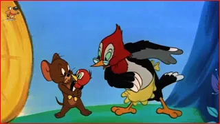 Cartoons For Kids   Tom and Jerry Episode 99   The Egg and Jerry Part 3