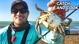 CATCH n COOK adventure to inshore beach fishing spot!