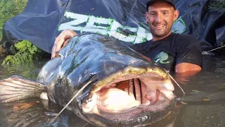 STRONGEST MAN VS STRONGEST CATFISH OVER 230 LBS - HD by YURI GRISENDI