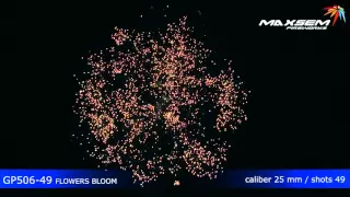 Maxsem Fireworks GP506 49 FLOWERS BLOOM