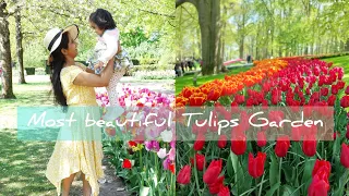 KEUKENHOF Netherlands 2022|The most beautiful Tulips garden in europe|