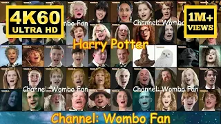 HARRY POTTER - NUMA NUMA V1 [4K60]