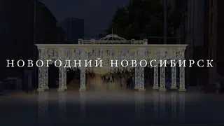 Новосибирск украсили к новому году  #новосибирск #новыйгод2024 #европейскийберег #ленина