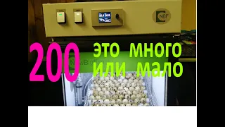 NBF - 200.  Обзор инкубатора.