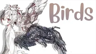 ✖Nightcore - Birds - (Lyrics)✖