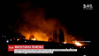 Біля місцевого ринку в Запоріжжі загорілося звалище сухого гілля