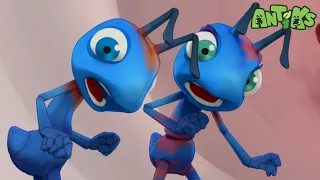 The Antiks are Feeling Blue | Antiks Magic Stories and Adventures for Kids | Moonbug Kids