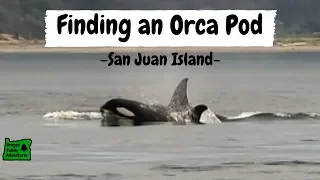 We Found Killer Whales!! | San Juan Island, Washington