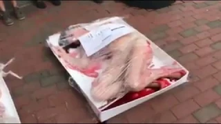 Human Meat Demo and Speakout in Downtown Asheville