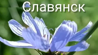 Славянск 7 Июля 2022  год