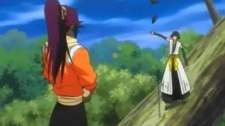 Yoruichi X Soi Fon AMV - all the things she said