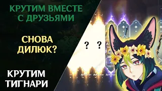 ШОК!!! КРУТИМ БАНЕР С ТИГНАРИ С ПОДРУГОЙ И ДЕВУШКОЙ! КТО ЖЕ ВЫПАДЕТ !? |Genshin Impact |