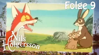 Nils Holgersson 🌱  Folge 9: Das Frühlingsfest der Tiere 🌱 Die Klassik-Serie