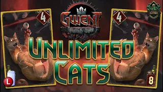 INFINITE CATS - PLUS ONE GWENT SEASONAL EVENT MONSTERS DECK GUIDE