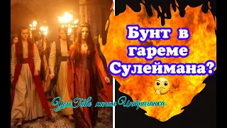 Бунт в гареме Сулеймана? Великолепный век (Интриганка)