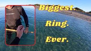 I found another very special (and MASSIVE) ring in the water!