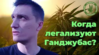 Когда легализуют ганджубас? 🤙 где Пропаганда, а где Правда? 🍁