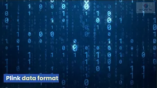 Plink data format