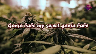 Ganja Babe Lyrics- Michael Franti & Spearhead