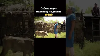 Келинка Сабина @фильм #shorts #видео#комедия