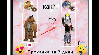 //3 способа как быстро прокачатся за 7 дней до 200 уровня в Wild Craft?//