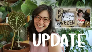 UPDATE on my first houseplant import unboxing & others!