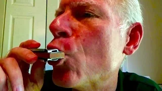 Learn Blues Harmonica 101:  the essential lesson for beginners